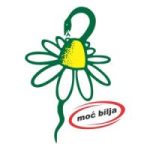 278636122_3139693949606550_5574036164992505559_n